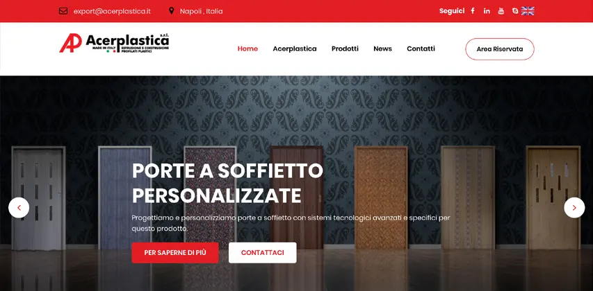 Acerplastica
